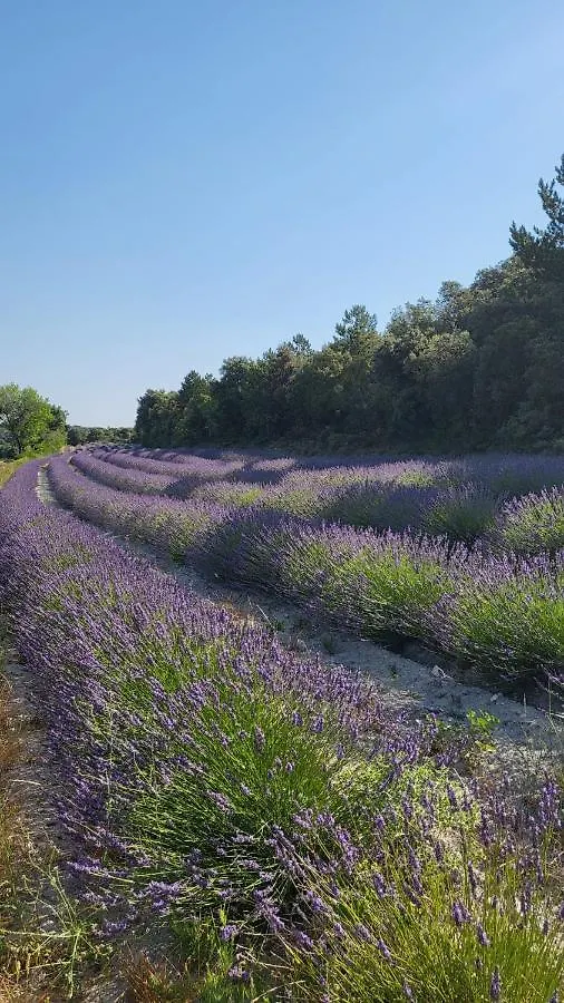 Le Mazet, Gite Des Lucioles En Provence Montségur-sur-Lauzon 0*,