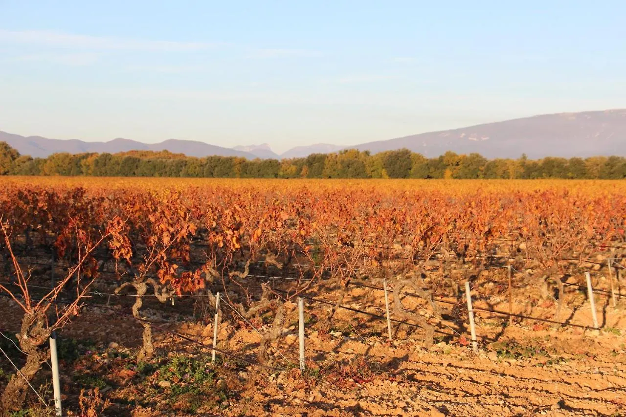 Le Mazet, Gite Des Lucioles En Provence Montségur-sur-Lauzon 0*,  프랑스