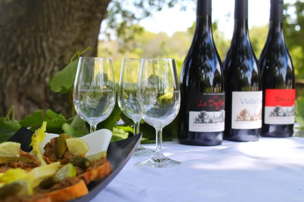 Le Mazet, Gite Des Lucioles En Provence Montsegur-sur-Lauzon Holiday home